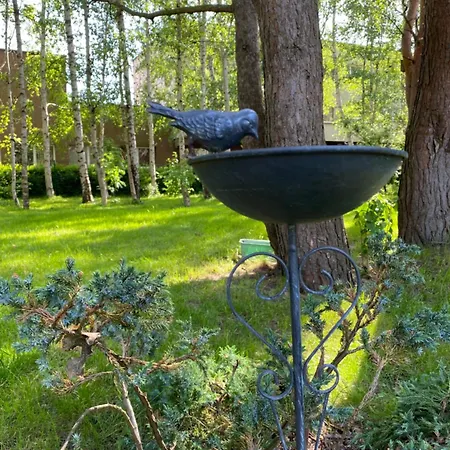 4 Winds Notus Апартаменты Паланга