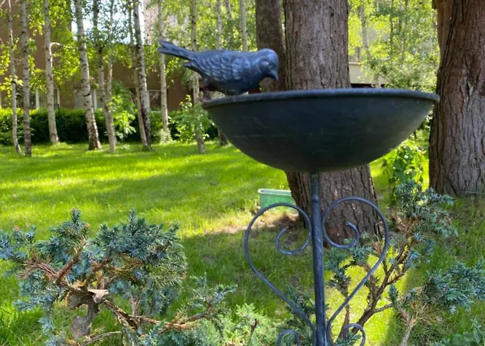 4 Winds Notus Apartman Palanga